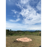 Magnetómeto aéreo MagArrow – Drone Matrice 600 Pro Drone matrice 600Pro y magnetometro MagArrow Magnetómeto aéreo MagArrow