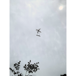 Vuelo drone y magnetómetro