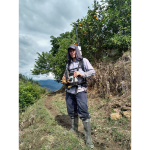 MAGNETOMETRIA TERRESTRE