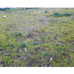 Registrador de voltaje IRIS V-FullWaver